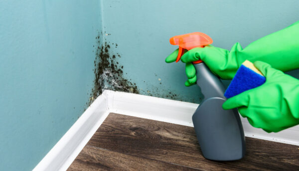 It’s that time of year again, a time when tenants are most likely to complain about the mould
